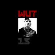 2019-01-08 - Assuc - WUT 15