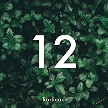 2018-02-21 - Lulleaux - Radieaux 12.jpg
