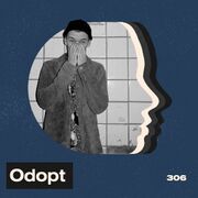 2022-11-28 - Odopt - LAYER 306