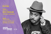 2017-08-27 - Seth Troxler @ Piknic Électronik 14, Montreal
