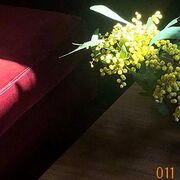 2021-02-22 - Vesu's - Rosa 011