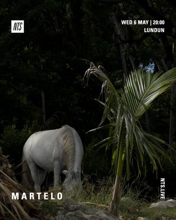 2026-05-06 - Martelo - NTS Radio.jpg