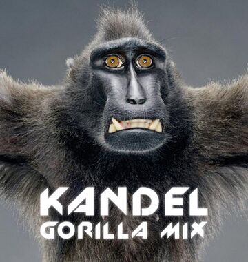 Kandel - Gorilla Mix.jpg