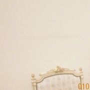2021-01-18 - Shielding - Rosa 010