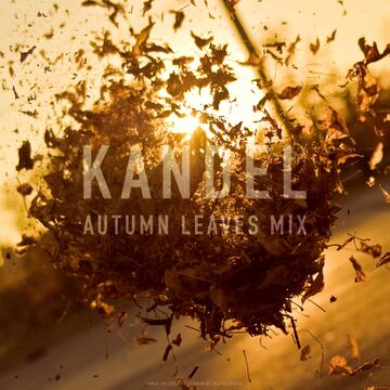 2009-11-14 - Kandel - Autumn Leaves.jpg