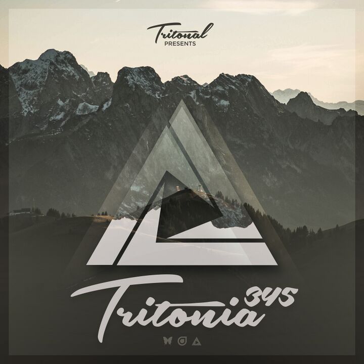 File:2021-06-04 - Tritonal - Tritonia 345.jpg