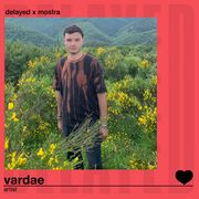 2024-02-13 - Vardae - Delayed with...