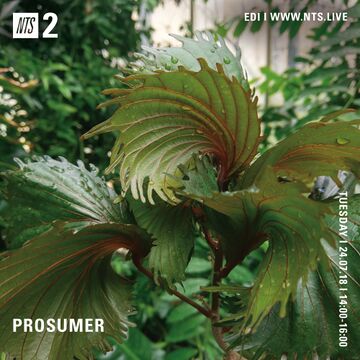 2018-07-24 - Prosumer - NTS Radio.jpg
