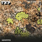 2023-02-18 - upsammy @ Radio TNP