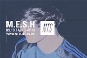2014-10-09 - M.E.S.H. - NTS Radio
