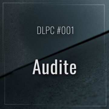 2016-08-31 - Audite - DLPC 001.jpg