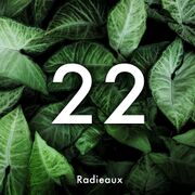 2020-03-10 - Lulleaux - Radieaux 22