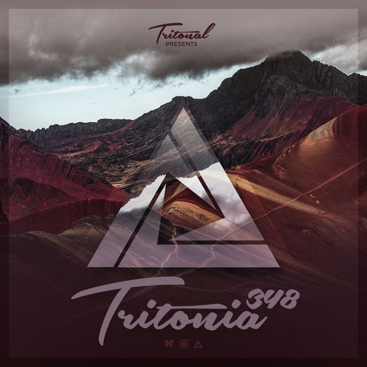 File:2021-07-01 - Tritonal - Tritonia 348.jpg