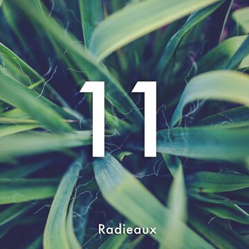 2018-02-08 - Lulleaux - Radieaux 11.jpg