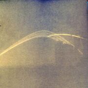 2024-03-05 - Lemont - Rosa 028