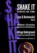 2011-02-26 - Layo & Bushwacka! @ Shake It, Village Undergr …
