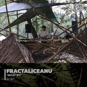 2022-11-01 - Fractaliceanu - What If? (Promo Mix)