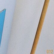 2021-07-06 - Leerinc - Rosa 012