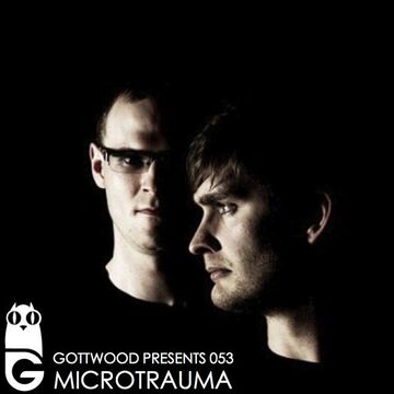 2013-05-29 - Microtrauma - Gottwood 053.jpg