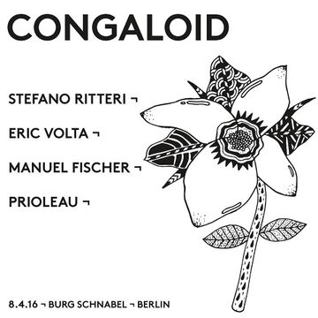 2016-04-08 - Congaloid Showcase, Burg Schnabel.jpg