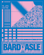 2026-01-16 - Skatebård @ Bård & Asle, Østre, Bergen