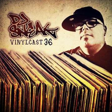2016-07-06 - DJ Sneak - Vinylcast.jpg