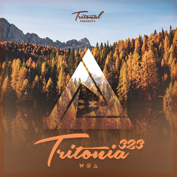2020-11-11 - Tritonal - Tritonia 323.png