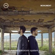 2021-05-27 - Natural/Electronic.System. - Monument 300