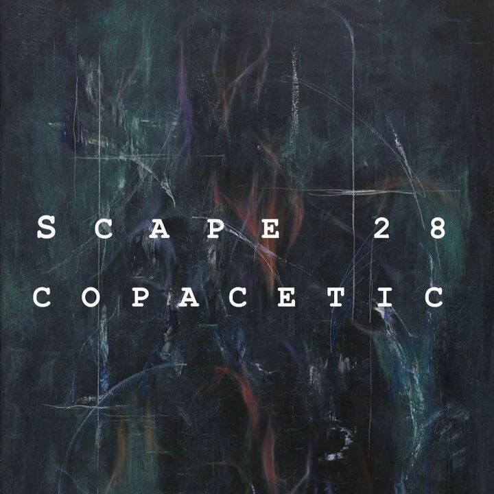 File:2025-07-03 - Copacetic - SCAPE 28.jpg