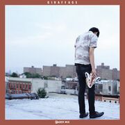 2013-06-04 - Giraffage - FADER Mix