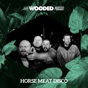 2015-03-31 - Horse Meat Disco - Wooded Podcast
