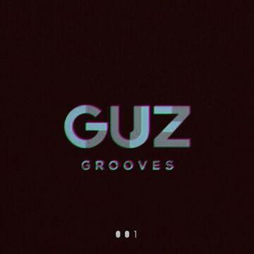 2017-12-27 - GUZ - GuzGrooves 001.jpg