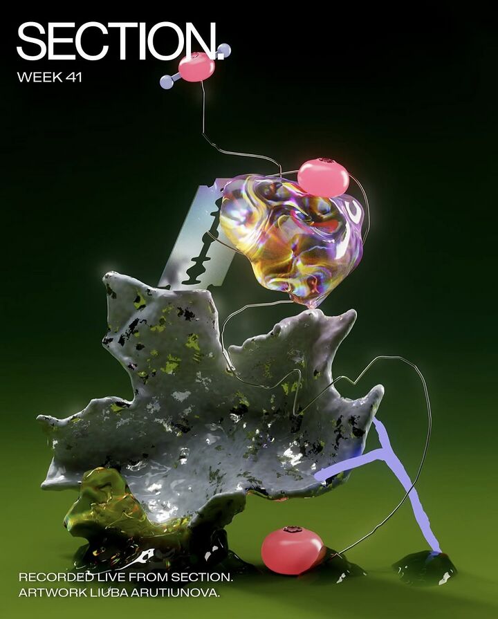 File:2026-02-12 - SECTION. Week 41.jpg