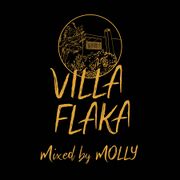 2022-12-22 - Molly - Villa Flaka