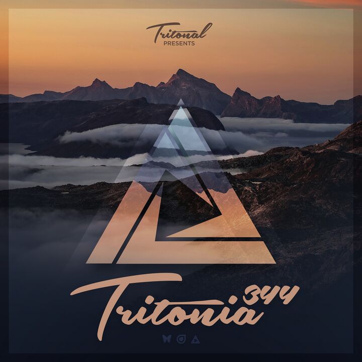 File:2021-05-28 - Tritonal - Tritonia 344.jpg