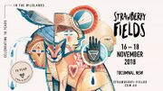 2018-11-17 - DJ Seinfeld @ Strawberry Fields, Tocumwal, Au …