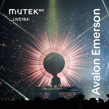 2020-06-18 - Avalon Emerson - MUTEKLIVE184.jpg