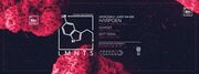 2019-01-05 - Harpoen @ Sugar Factory, Amsterdam (Slam Radi …