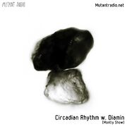 2020-09-25 - Diamin - Circadian Rhythm