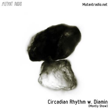 2020-09-25 - Diamin - Circadian Rhythm.jpg