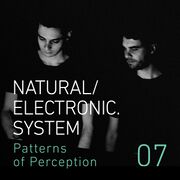 2016-07-29 - Natural/Electronic.System. - Patterns of Perc …