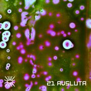 2024-11-14 - Avsluta - Tentacular 21