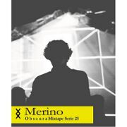 2015-11-02 - Merino - Obscura 25