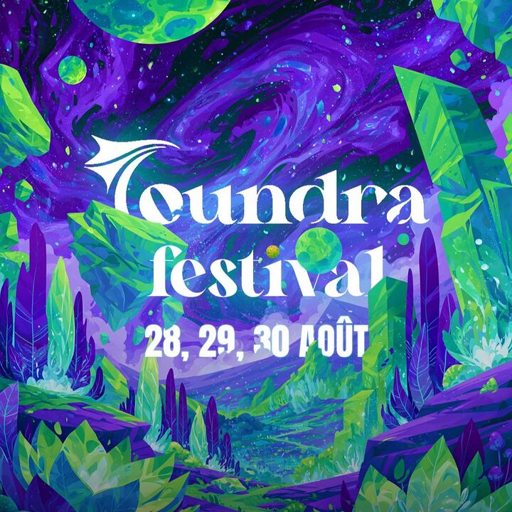 File:2026-08-29 - Cyberlife @ Toundra Festival.jpg