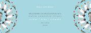 2014-07-19 - Speculator @ Disco Not Disco, 20/44, Belgrade …