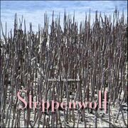 2007-12-20 - Alex Meshkov - Cartoon Studio: Steppenwolf