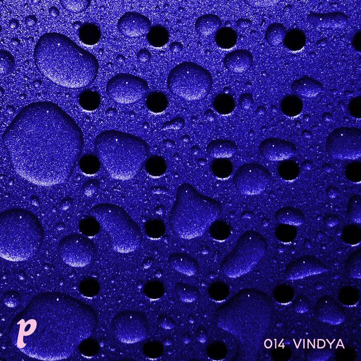 File:2025-12-02 - Vindya - Playhaus 014.jpg