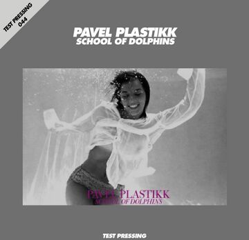 044-pavel-plastikk.jpg