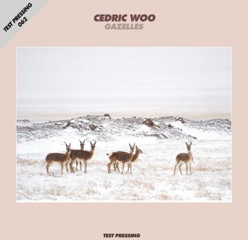 062-cedric-woo.jpg