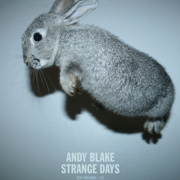 115-andy-blake1.png